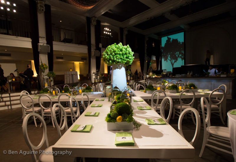 Sepcial Event Planning by Cat Crenshaw, David Tutera's CELEBrations Episode